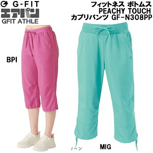 ySi|Cg10{zW[tBbg G-FIT tBbglX {gX GAp PEACHY TOUCH X^_[h Jv pc GF-N308PP