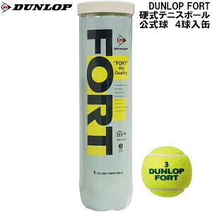ySi|Cg3{+ő2000~OFFN[|z_bv DUNLOP d ejX {[ FORT tH[g 4 SDGS DFCPFYLPT4TIN