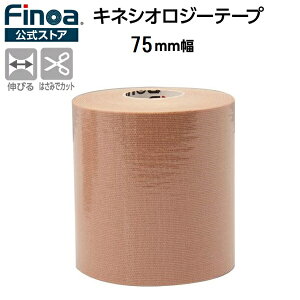 ySi|Cg2{+ő2000~OFFN[|zFINOA tBmA e[sOe[v LlVIW[e[v T|[gpLke[v 75mm 5m 273