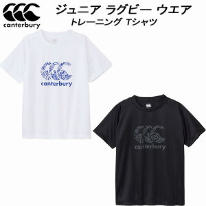 ySi|Cg3{+ő2000~OFFN[|zJ^x[ canterbury WjA g[jO EGA Vc g[jOeB[ RGJ325026