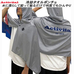 �y�S�i�|�C���g2�{+�S�i8%OFF�N�[�|���z�A�N�e�B�o�C�^�� Activital �N�[�����C�J�[ ��p�^�I���|���`�� �u���[ CRI1000 GR