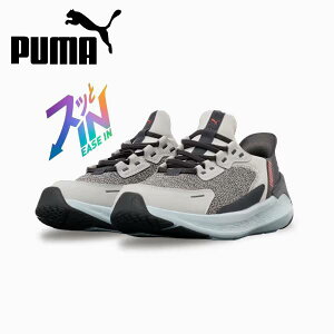 v[} PUMA jOV[Y Y fB[X SOFTRIDE Vg[ C[YC 312669-03