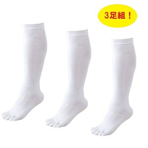 ySi|Cg3{+ő2000~OFFN[|z[bg ZETT [bg 싅 3g XgbLO C 3P 5{w \bNX BK035O 1100