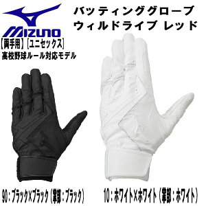 �y�S�i�|�C���g2�{+�ő�5��OFF�N�[�|���z�~�Y�m MIZUNO �싅 �o�b�e�B���O�O���[�u WILLDRIVE RED ����p ���Z�싅�Ή����f�� ���N ��� 1EJEH240