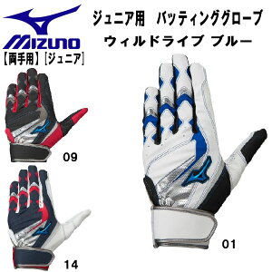 ySi|Cg3{+ő2000~OFFN[|z~Ym MIZUNO 싅 WjA obeBOO[u WILLDRIVE BLUE p obeBO  1EJEY245