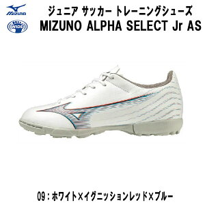 ySi|Cg2{+5%OFFN[|z~Ym MIZUNO TbJ[ g[jOV[Y ~Ym At@ SELECT Jr AS WjA P1GE236509 09