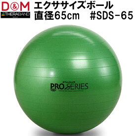 【全品ポイント5倍&お買い得クーポン】ディーアンドエム D&M　トレーニング リハビリ エクササイズ ボール 直径65cm SDS-65