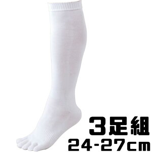 5{w 3P\bNX 3g\bNX ZETT/[bg 싅 A_[\bNX BK035L