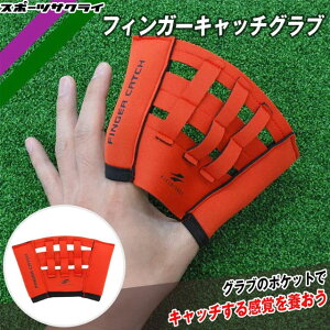 tB[htH[X tBK[Lb`Ou {[8t g[jOOu ߋK K FFCG-408