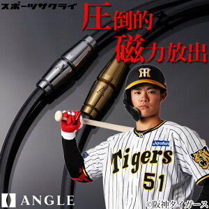 ClbNX ANGLE AO e.f 02 lbNX ER ̔J 񕜑i sP }`X|[c fXN[N JWA jp Y fB[X Mtg v[g AE02N