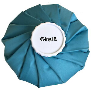 CING15 X̂ LTCY ZETT [bg ACVO PApi XX p 싅 [bg̈ wZ̈ SIC3400