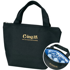 CING15 アイシング用 保冷バッグ 約6L ZETT ゼット ケア用品 持ち運び 冷却 野球 ゼット体育器具 学校体育 TIC2000