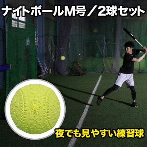 iCg{[ M 2P 2Zbg tB[htH[X ł₷K CG[  FNB-722MYN