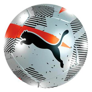 TbJ[{[ 5 v[} P[W PUMA CAGE {[ HS O[CO[h 084865-01-5