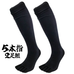 5{w\bNX 2g ~Ym 싅\bNX x[X{[ 25-28cm A_[XgbLO 싅 \bNX O w  l 52UW08409 52UW-08409