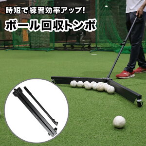 {[g{ gݗĎ tB[htH[X 싅  `[ FBK-115T