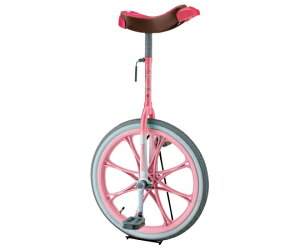 XPANE֎ԁ@20C`@sN 3529P