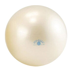 oX{[ GNTTCY{[ Gymnic MjN tBbg{[ 55cm D5920 K{[ bNX ̊ GNTTCY g[jO nr EGlX C^A