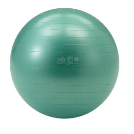 バランスボール エクササイズボール Gymnic ギムニクカラーボール PLUS 55cm D5421G ヨガボール リラックス 体幹 エクササイズ トレーニング リハビリ ウエルネス 運動不足解消
