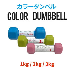 _x SA[Jt 1kg 2kg 3kg e1{  g[jO d ؃g nr