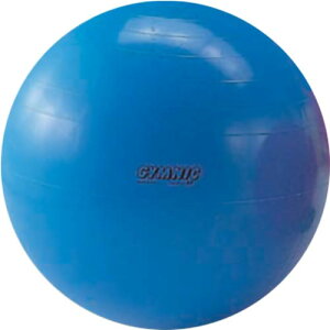 oX{[ GNTTCY{[ MjNJ[{[ 95cm D5435 K{[ bNX ̊ GNTTCY g[jO nr EGlX C^A