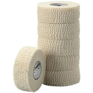 e[sO CgK[h Finoa y nfBJbg Œp Lke[v 2.5cm 12 290 Œ  Nu w  ֐ `[ c