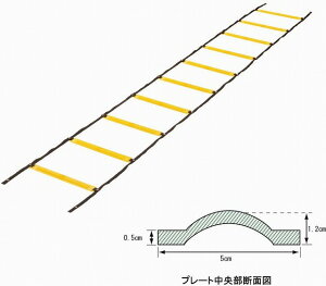 \tg_[ g[jO[v EVERNEW Goj[ EGA480