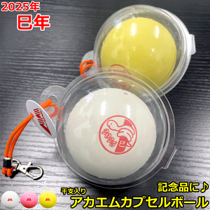 アカエム AKAEMU ソフトテニス ボールの人気商品・通販・価格 アカエム AKAEMU ソフトテニス ボールの人気商品・通販・価格