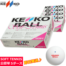 【早い者勝ち】ソフトテニス ボール アカエム 公認球 60球 即日発送 alpen-group_2079990004