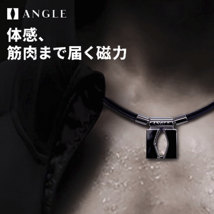 アングル】ANGLE e.MODEL 01 NECKLACE 磁気ネックレス 医療機器