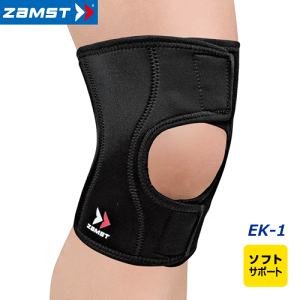 UXg ZAMST qUpT|[^[ Ep \tgT|[g G یT|[^[ EK-1y[֕sz