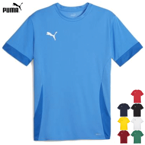 PUMA v[} tbg{[ TbJ[ TVc Vc g[jOEFA TEAMGOAL Q[Vc 706362y1܂Ń[OKz