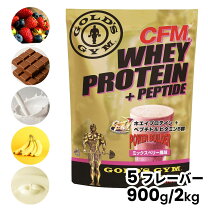 楽天市場】ゴールドジム ホエイプロテイン ダブルチョコレート風味 GOLD'S GYM(ゴールドジム)プロテイン ダブルチョコレート900g 2袋
