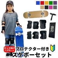 【スーパーSALE期間中P10倍★6/4 20:00〜6/11 1:59まで】【送料無料】スケートボード キッズ スケボー 完…