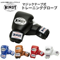 【楽天スーパーSALE期間中P10倍★9/4 20:00〜9/11 1:59まで】＼送料無料／ ウィンディ WINDY BGVH トレー…
