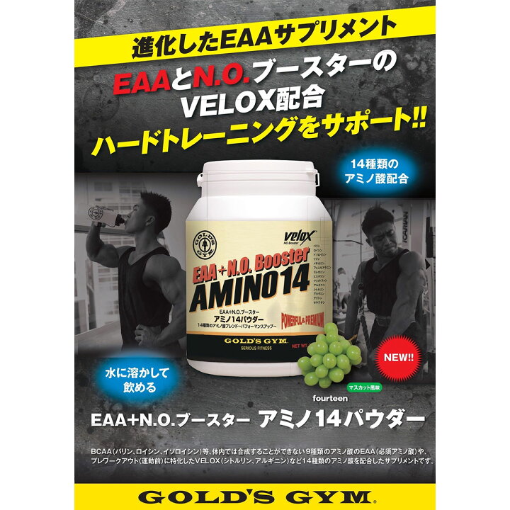 楽天市場】＼送料無料／ゴールドジム GOLD