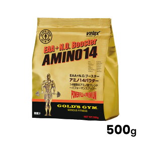 _^S[hW GOLD'S GYM EAA + N.O.u[X^[ A~m14pE_[ 150g 300g 500g A~m_ g[jO ؃g Tvg ⋋ 009
