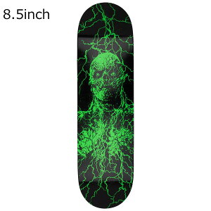 yyVX[p[SALEԒP10{12/4 20:00`12/11 1:59܂ŁzT^N[Y SANTACRUZ XP{[ XP[g{[h fbL  STRANGER THINGS VECNA 8.5 31021658