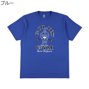 yyVX[p[SALEԒP10{12/4 20:00`12/11 1:59܂Łzy TNKzS[hW GOLD'S GYM W tBbglX g[jO EFA  TVc x[VbN TVc (xjXJtHj