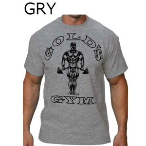 【送料無料 TNK】ゴールドジム スポーツ ウェア ベーシック ジョー Tシャツ (ターミネーター) G6115 GOLD'S GYM