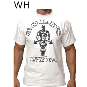 y TNKzS[hW X|[c EFA x[VbN W[ TVc (^[~l[^[) G6115 GOLD'S GYM