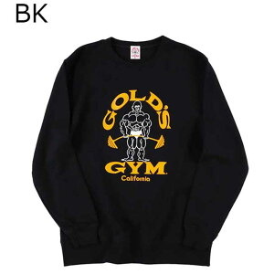 【送料無料 TNK】ゴールドジム GOLD'S GYM ジム フィットネス トレーニング ウェア スウェット パーカー トレーナー 80‘Sシリーズ スウェット G6180 メンズ 男性 23HO 秋冬