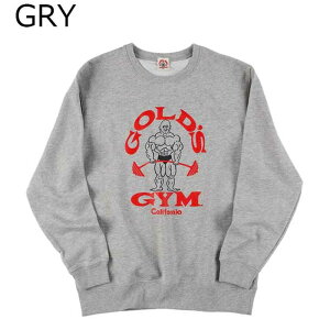 y TNKzS[hW GOLD'S GYM W tBbglX g[jO EFA XEFbg p[J[ g[i[ 80eSV[Y XEFbg G6180 Y j 23HO H~