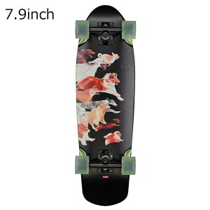 O[u XP[g {[h N[U[ Rv[g g[p[ Obh {[CY 7.9 10525386 TROOPER GOOD BOYS 7.9 GLOBE