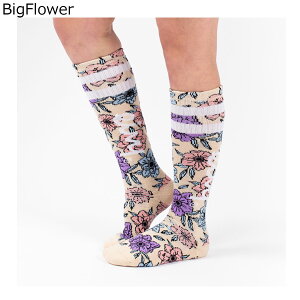 アイビー EIVY スノボー スノボ スノーボード ソックス 靴下 Cheerleader Wool Socks EIVYSOCKS-1 レディース 女性 24-25