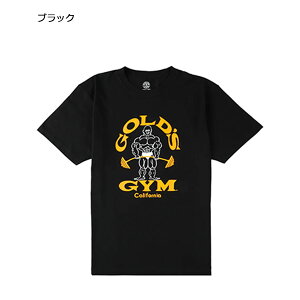 y TNKzS[hW GOLD'S GYM W tBbglX g[jO EFA  TVc x[VbN TVc 80S G5190 Y j