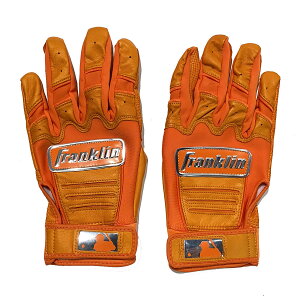 tN x[X{[ 싅 obeBO  Y fB[X CFXN p 20604 22SU Franklin