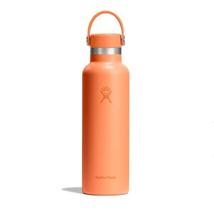 y}\ԒP5{10/14 20:00`10/17 09:59܂ŁznChtXN Hydro Flask AEghA JWA ANZT[ {g nCh[V 21oz X^_[h }EX HYDRATION 21oz STANDA