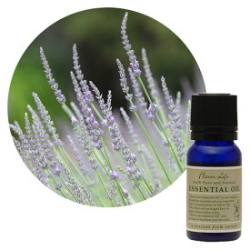 FL　エッセンシャルオイル　ラバンディン　グロッソ　10ml　精油　フレーバーライフ　アロマ　100%　ピュアエッセンシャルオイル　ナチュラル　アロマランプ　芳香浴　ディフィーザー　ミニボトル　香水　定形外発送