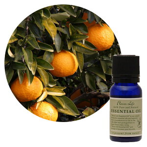 FL@GbZVIC@v`O@10ml@@t[o[Ct@A}@100%@sAGbZVIC@i`@A}v@F@fBtB[U[@~j{g@